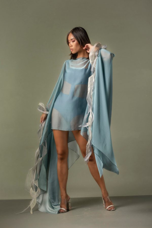 Model:Butterfly Art-2614