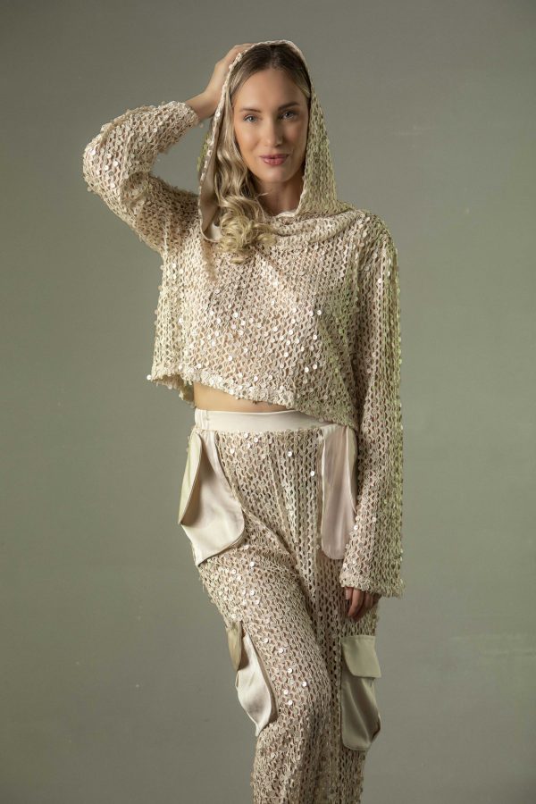 Model:Beige Sequin Mesh Set Art-S26-9726